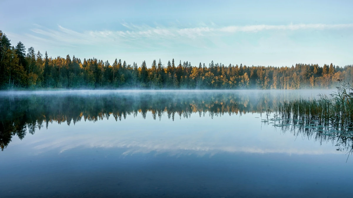 An angler casting a lure on a lake